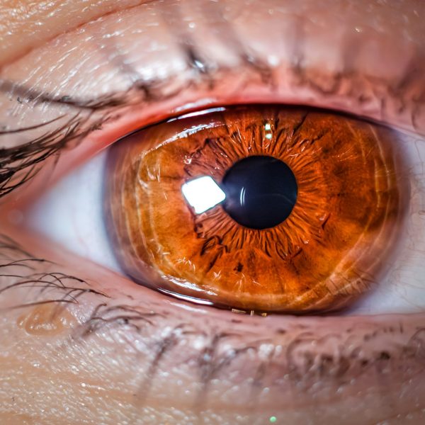 mihail-cioinica-NG-WICNjRO8-unsplash