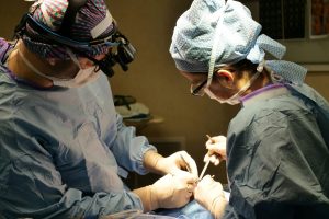 olivier-gerbault-jnLxeqkAAH4-unsplash